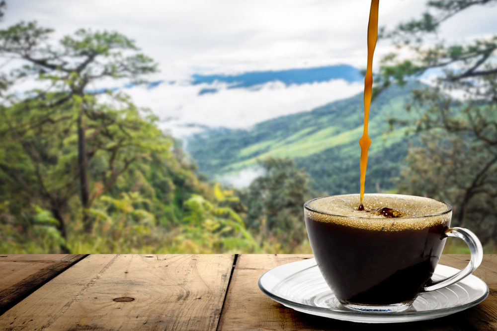 The Story Behind La Minita Coffee: One of the Finest Coffees in the World.